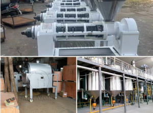 Ligne de production de graines de tournesol Moldavie 24T/jr
