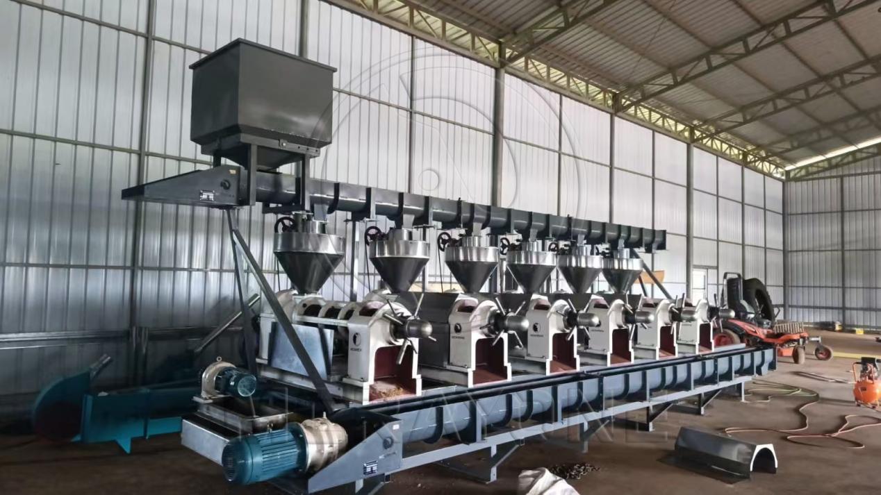 Convoyeur à vis horizontal pour plusieurs ensembles de presses à huile