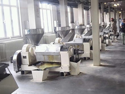 Caractéristiques et fonctionnalités des pressoirs à huile Rayone