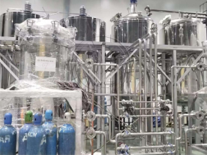 Vietnam 5T/jr-Équipement de raffinage d&rsquo;acier inox d&rsquo;huile de cajou