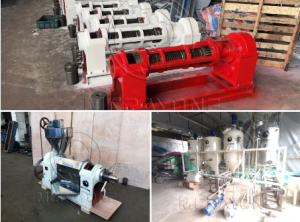 Établir une usine multi-huile de 10 tonnes/jour en Angola – lignes de production d&rsquo;huile de palme et d&rsquo;huile d&rsquo;arachide