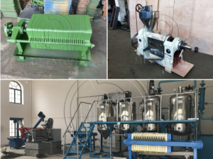 12T/jr de ligne de production de palmiste au Cameroun
