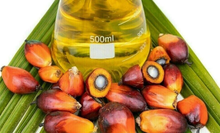 La demande de biocarburants influence le prix entre l’huile de soja et l’huile de palme