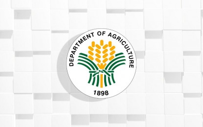 Le ministère de l’Agriculture des Philippines renforce son soutien aux plantations de palmiers à huile à Mindanao