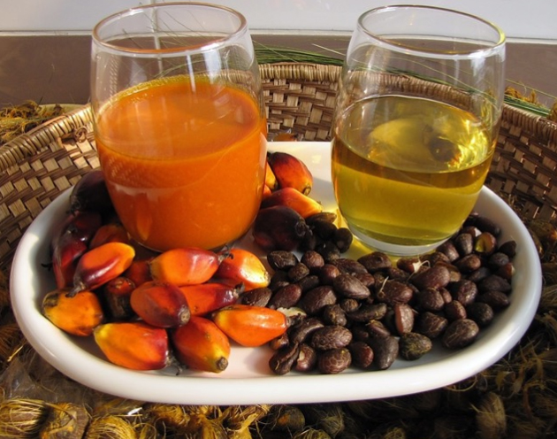 Presses à huile hautes performances pour fruits et amandes de palme