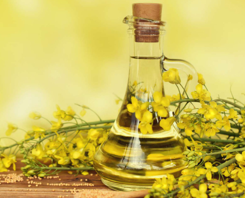 Huile de colza et huile de canola