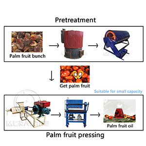 Ligne de production de fruits de palmier